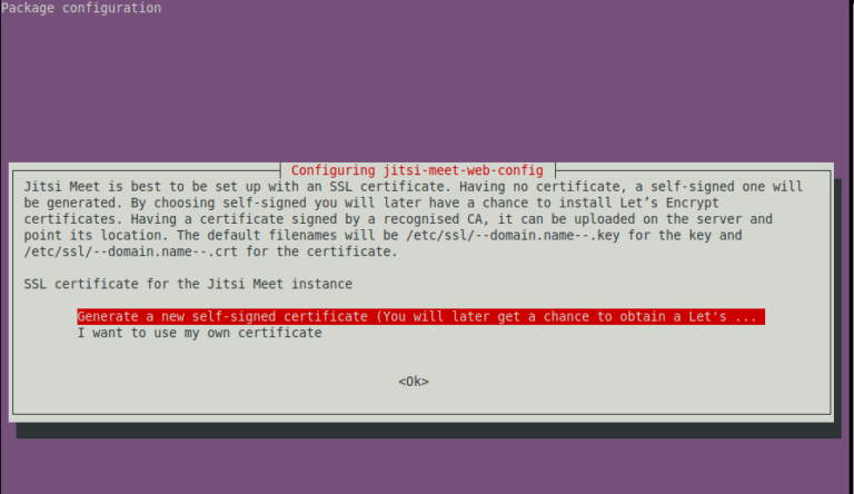 ubuntu jitsi meet install ubuntu jitsi meet install