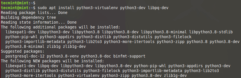 Python仮想環境をインストールする
